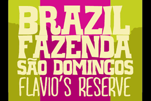 Featured Farm - Brazil Fazenda S√£o Domingos - Flavio's Reserve