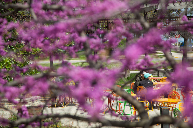 Easter Hours (4/21/19) for Cafes