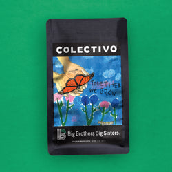 Big Brothers Big Sisters (Haley and Alani)