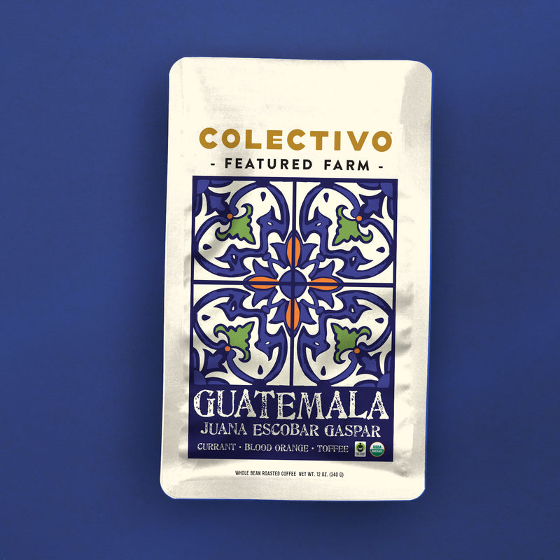 Guatemala Juana Gaspar